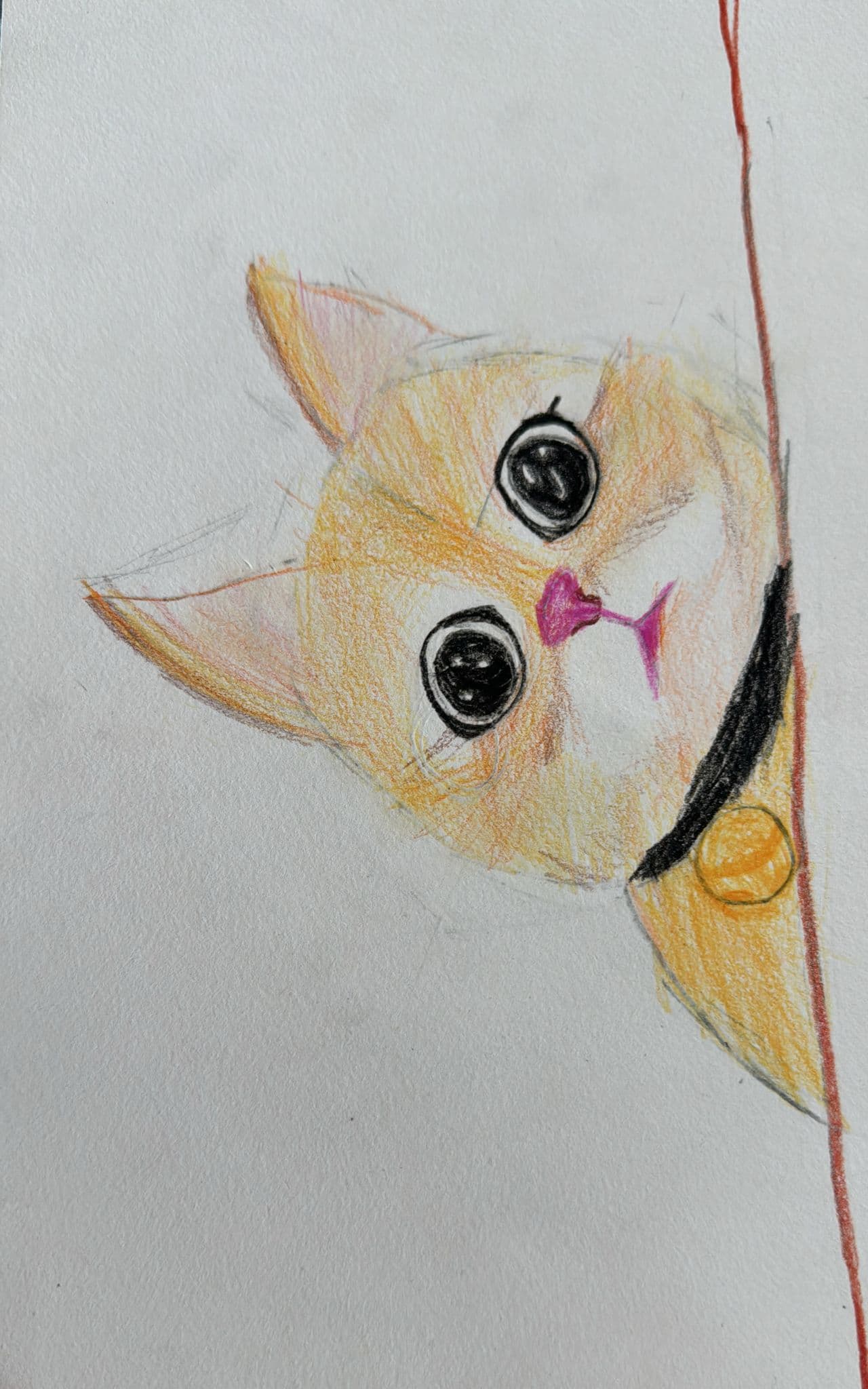可爱的小猫咪