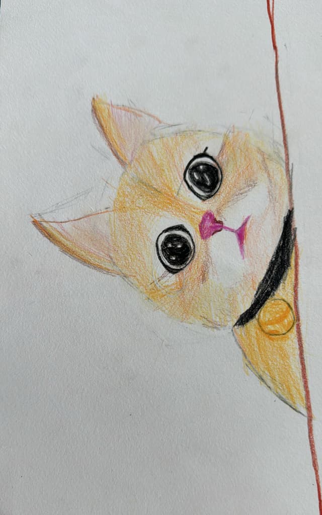 可爱的小猫咪